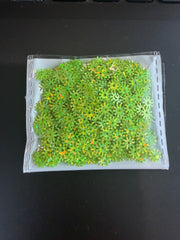 Green Sequins – Small Pinwheels